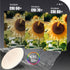 LED Sternenhimmel Deckenleuchte Ø 30 cm 18 W 3CCT